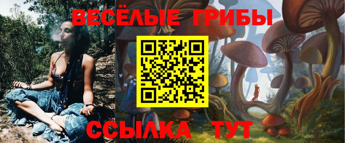Псилоцибиновые грибы мухоморы Пушкино